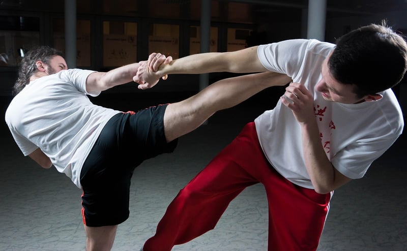 Chinese Martial Arts Kung Fu