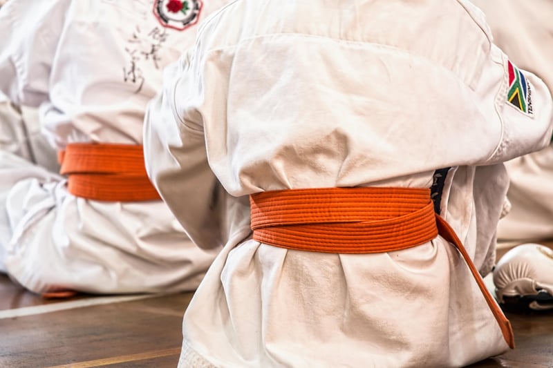 Taekwondo Kicking